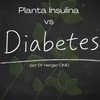 Planta Insulina vs Diabetes